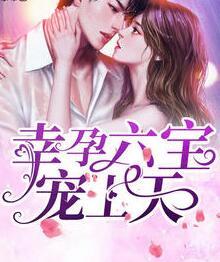 幸孕六寶寵上天411